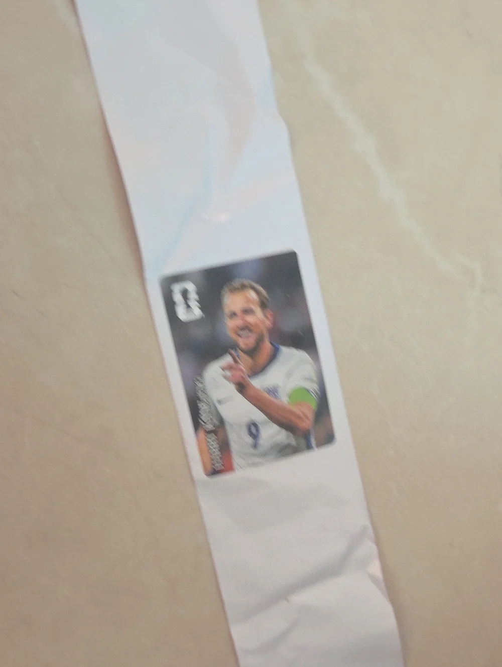 Panini can do